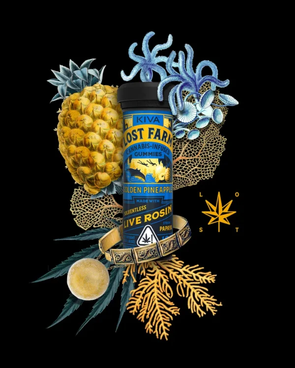 10mg Golden Pineapple x Papaya Live Rosin Gummies Lost Farm THC Gummies