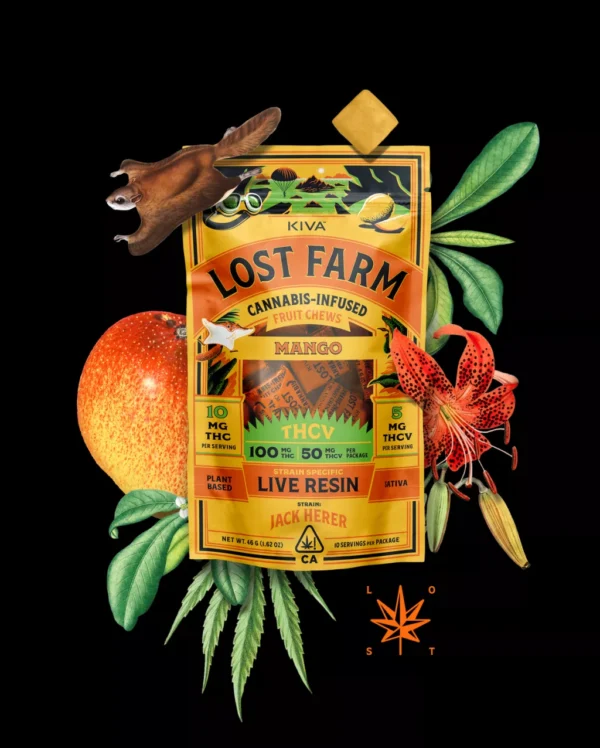 10mg Mango x Jack Herer Live Resin Chews Lost Farm Reviews