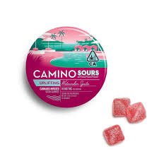 Buy Camino Gummies