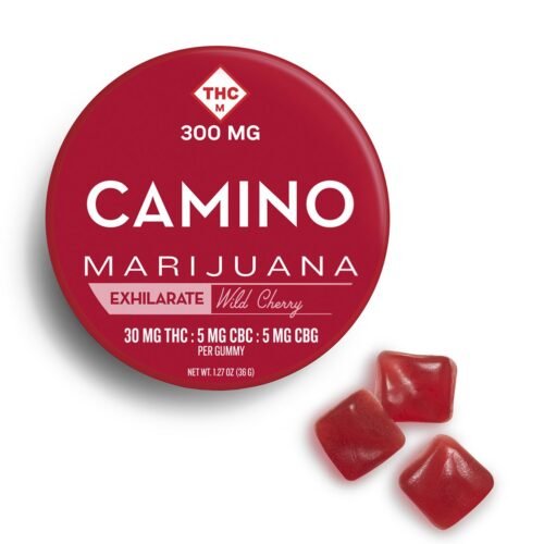 Camino Exhilarate Gummies
