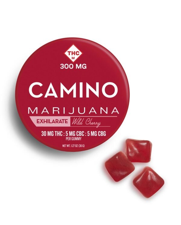 Camino Exhilarate Gummies