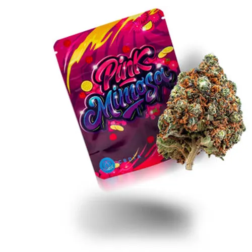 Cannabis Dispensary